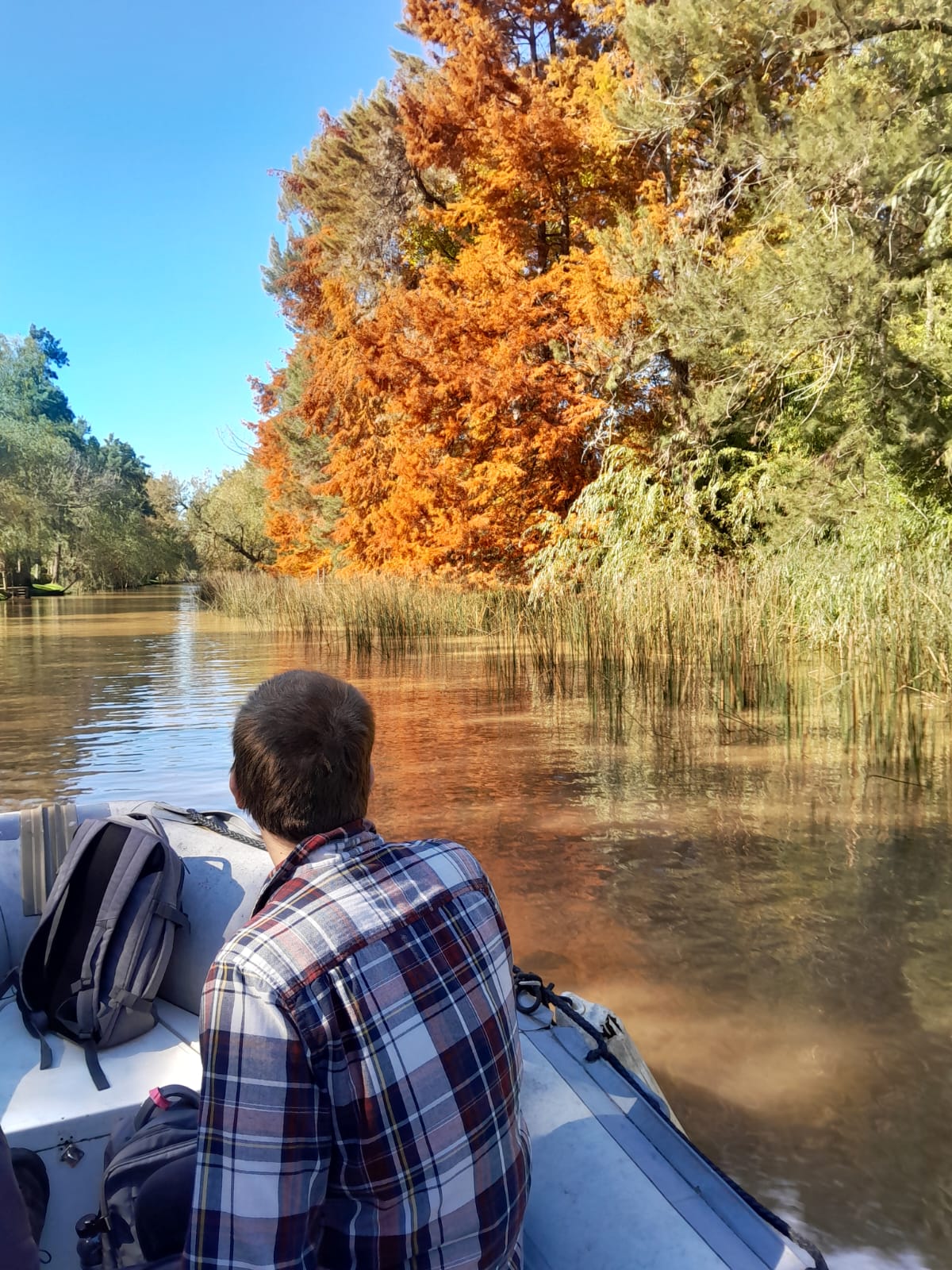 sunset way in fall tigre by Safari Delta Boat Trip